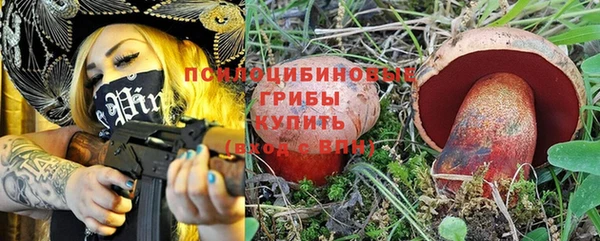 Альфа ПВП Инсар