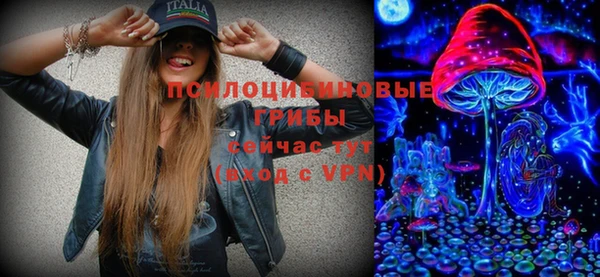 Альфа ПВП Инсар