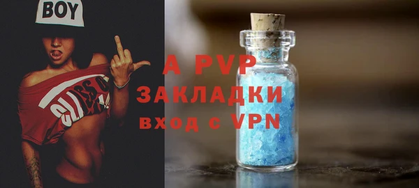 Альфа ПВП Инсар