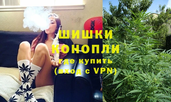 Альфа ПВП Инсар