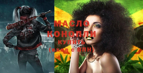 Альфа ПВП Инсар