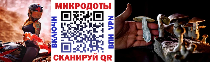 Галлюциногенные грибы Magic Shrooms  Купить где  Болгар 