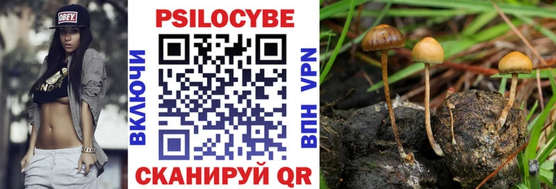 Галлюциногенные грибы Cubensis Болгар